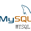 MySQL 支持